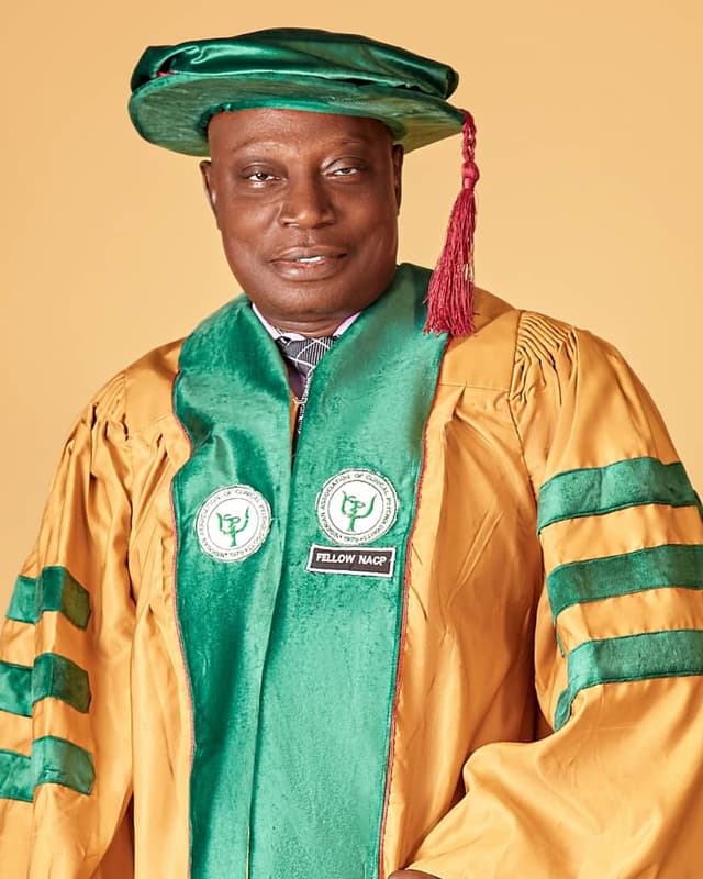 Gboyega .E. Abikoye, PhD, fnpa, fnacp
